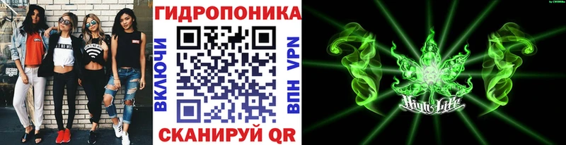 где найти Короча Бошки Шишки OG Kush